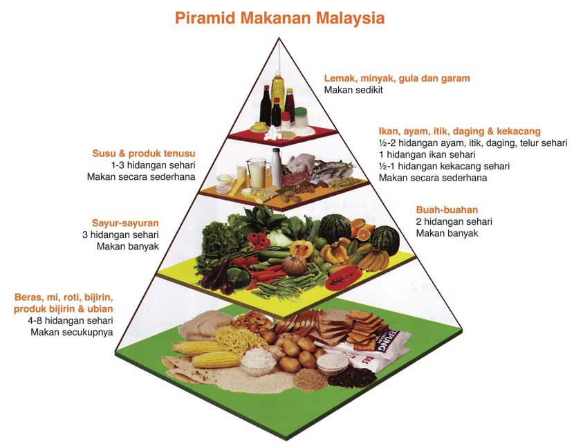 Tips Merancang Menu Sihat Berpandukan Piramid Makanan Malaysia | My.Life.Ria