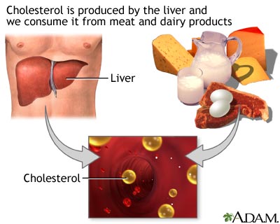 cholestrol