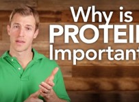 kebaikan dan keperluan protein untuk tubuh badan