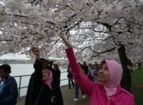 kenapa perlu melancong ke tempat orang